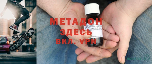 прущие грибы Абаза