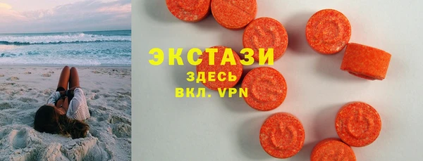 шишки Лабытнанги