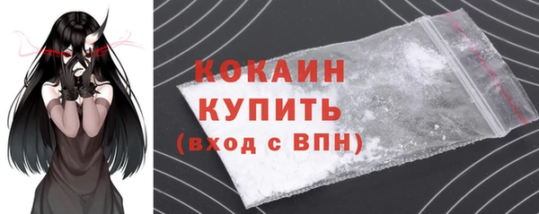 прущие грибы Абаза