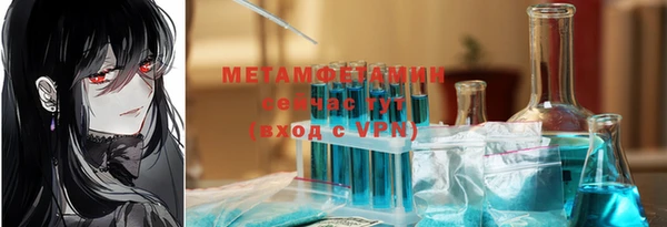 прущие грибы Абаза