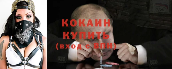 прущие грибы Абаза