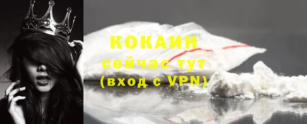 прущие грибы Абаза