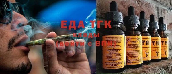 индика Абинск