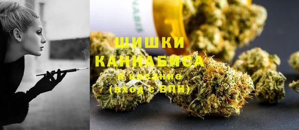 прущие грибы Абаза