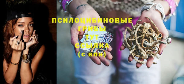 индика Абинск